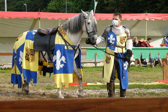 在卡塔尔大 在卡塔尔大