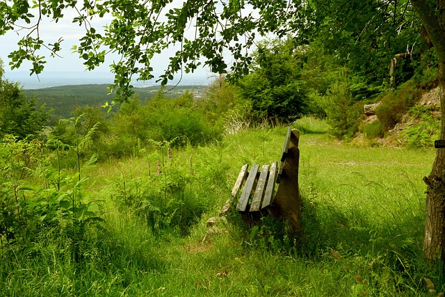 亚洲裁判曾 亚洲裁判曾