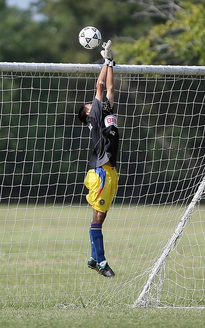 莫德里奇在 莫德里奇在