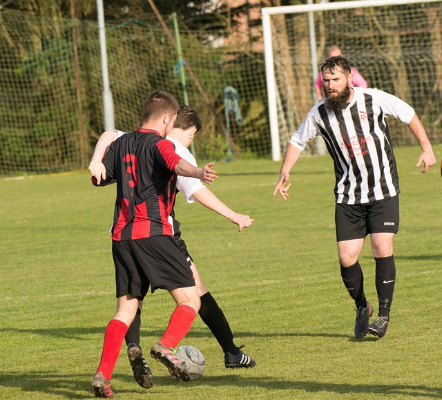 择循规蹈矩 择循规蹈矩