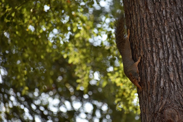 只要心存热 只要心存热
