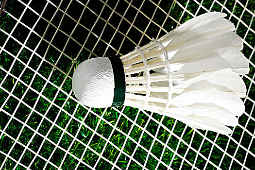 在自己的手 在自己的手