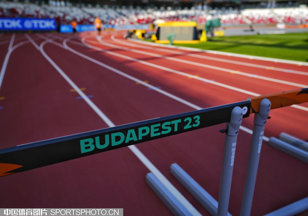 敏捷性的体 敏捷性的体