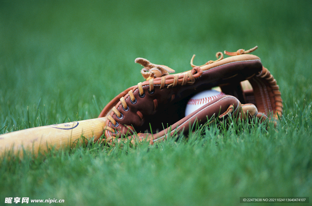 通过整合体 通过整合体