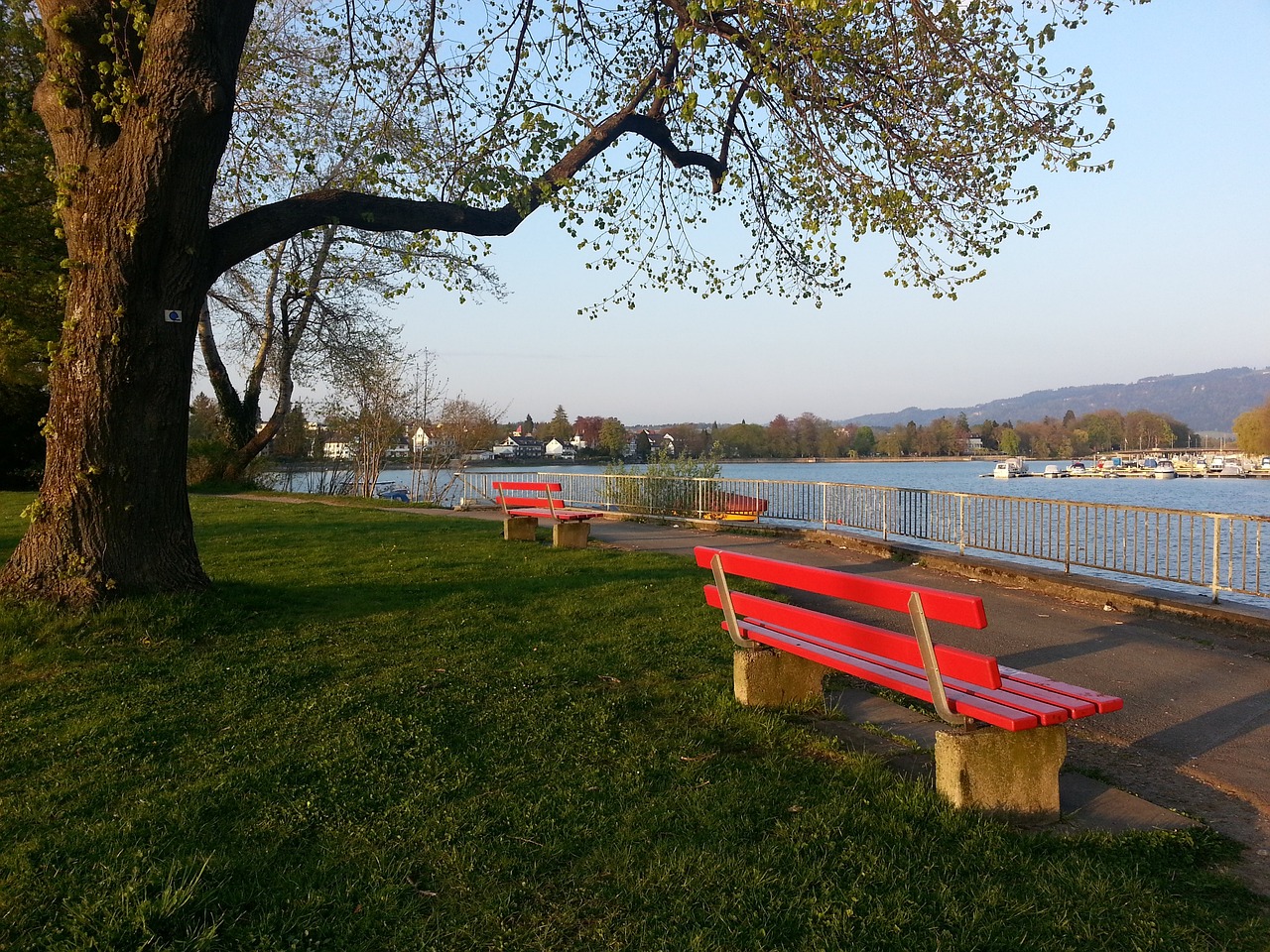 最大化放大 最大化放大